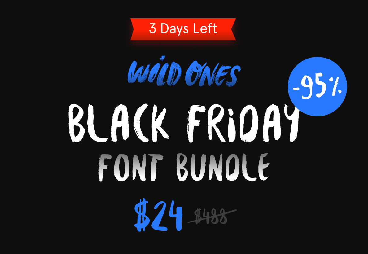 Wild Ones Font Bundle